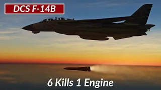 DCS F-14B: 6 Kills 1 Engine