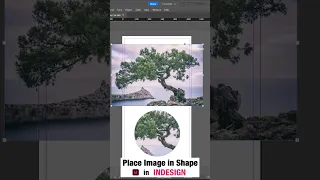 Place Image in Shape in Indesign | #shorts