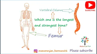 Which is the longest and strongest bone of your body? Medical Lab Tech. (Short Video)
