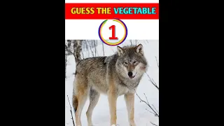 Guess The Mammal | On Land | #iqtest #youtubeshorts #shorts #guess #animals #viral #trending #fact