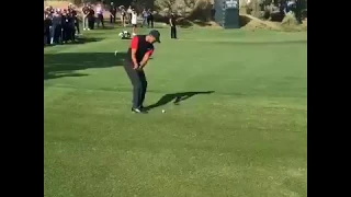 Tiger Woods vs Phil Mickleson (Tiger)