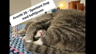 Avsnitt 26 - Spontant ihop med kofttjuven