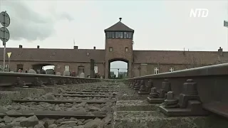 Музей Освенцим реставрируют к 75-летию освобождения лагеря