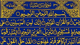 Surah Yaseen Surah Rahman || Most Qur'an Tilawat || Surah Yasin full Ep || Best Qur'an Recitation