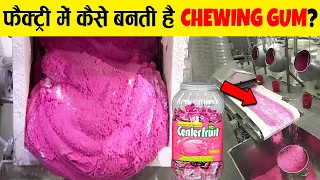 फैक्ट्री में Chewing Gum कैसे बनती है? How is Chewing Gum made in factory?