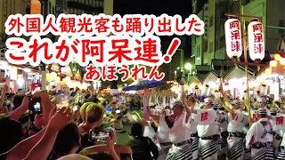 [2023/8/12]徳島 阿波おどり これがあの阿呆連の踊り！外国人観光客も踊り出した！Awa-odori in Tokushima, Ahouren-group dance