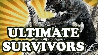 Top 10 Survivors Who Simply Would Not Give Up — TopTenzNet