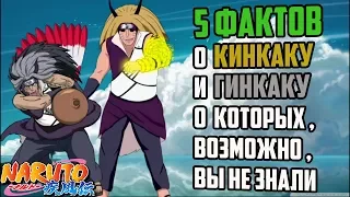 5 ФАКТОВ О КИНКАКУ И ГИНКАКУ | ГИНКАКУ И КИНКАКУ ПРОТИВ | ДЕВЯТИХВОСТЫЙ ЛИС | ДЕМОН ЛИС | КЬЮБИ