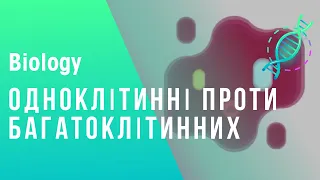 Одноклітинні та багатоклітинні організми. Порівняння