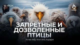 #15 Какие птицы являются халяльными? | Харам и халяль | Абу Али аль-Ашари | AZAN.RU