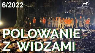 SUDECKA OSTOJA 6/2022 Polowanie Zbiorowe. Driven Hunt in Poland. chasse en Battue de sanglier