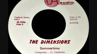 The Dimensions - Summertime