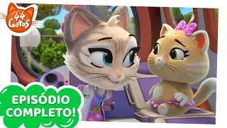 44 Gatos | O Dente de Leite da Pilou [EPISÓDIO COMPLETO]