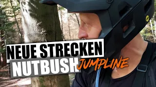 Nutbush Forest - Jumpline  Was hat sich verändert ? Mountainbike Trails Strecke
