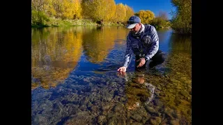 Fly Fishing New Zealand. GUIDES TRIP - Getting High on Dry.