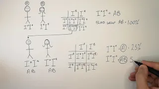 Blood Group Inheritance | A, B, AB, O | GCSE Biology (Triple 9-1) | KayScience