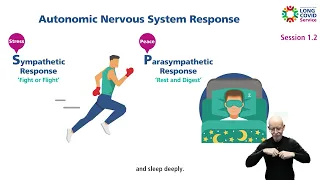 Long Covid: Film 1.2 The Nervous System