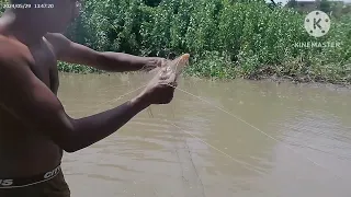 fishing video 🎣 Catch fish from the village river netfishing amezing fishing @kumrejeeblog