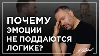 ПОЧЕМУ ЭМОЦИИ НЕ ПОДДАЮТСЯ ЛОГИКЕ?