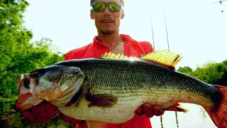 The BIGGEST BASS I've EVER Seen River Fishing