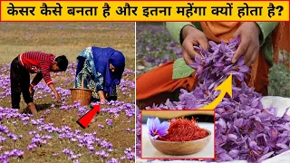 केसर कैसे बनता है, और उसकी खेती कैसे होती है? । Kesar Manufacturing Process । Kesar Farming Video