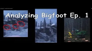 Analyzing Bigfoot Ep. 1 - Trees Ripped Out Of The Ground By Bigfoot