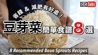 【豆芽菜特輯】省錢&減肥有好處！豆芽菜料理8道 / 簡單豆芽菜食譜 / Bean Sprouts