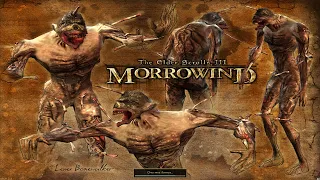 The Elder Scrolls 3: Morrowind [FullRest Repack] 4.0 - 18 - Небольшой отдых