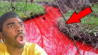 They tried to jump over it... MR BALLEN SCARY STORIES REACTION