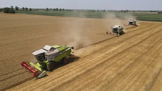 Wheat Harvest/Búza aratás 2022- 2 X CLAAS TUCANO 440, CLAAS LEXION 650@Török Andor-Szakmár