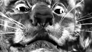 😲🦁NIGHTMARISH STOP-MOTION ANIMATION from 1930s!🦁😲