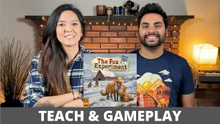 The Fox Experiment - Teach & Playthrough