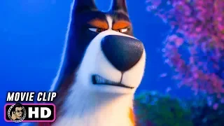 THE SECRET LIFE OF PETS 2 Clip - Rooster (2019) Harrison Ford
