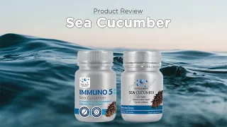 Sea Cucumber Product Review