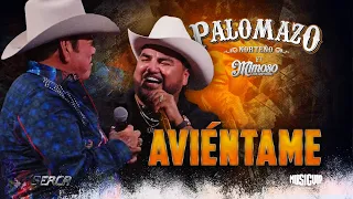 Palomazo Lalo Mora Ft El Mimoso - Aviéntame ( Video Oficial )