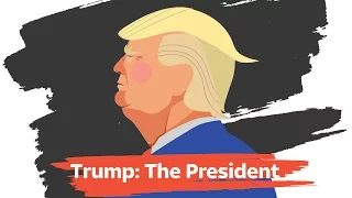 Trump 100 days: The President