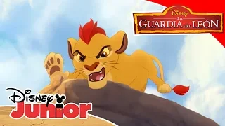 Aprender con Disney Junior: Animales con la Guardia del León | Disney Junior Oficial