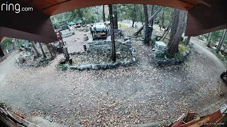 Deer Caught on Camera Trying to Mate With Lawn Ornament