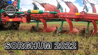 SORGHUM 2022 #FarmVlog 129