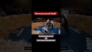 Нокаут в чемпионском бою #topdog20 #short #мельник