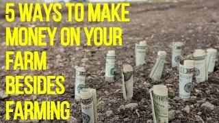 5 Surprising Ways to Generate Income on Your Farm Beyond Farming!