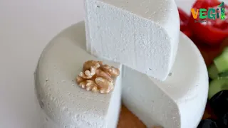 Easy Recipe for Delicious Vegan Cheese | How to make Sunflower Seed Cheese or Pumpkin Seed Cheese!