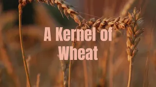 A Kernel of Wheat - Instrumental - Lyrics