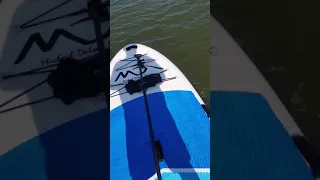 Powered inflatable paddle board with remote control electric fin