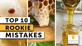 ROOKIE BEEKEEPER MISTAKES Advice After 12 Years of Beekeeping