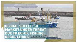 Global shellfish market under threat due to EU-UK fishing regulations