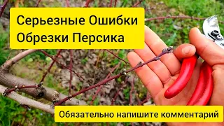 Серьезные ошибки обрезки персика