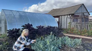 ДАРЫ ОСЕНИ НА ПЛОДОРОДНОЙ ЗЕМЛЕ/ТЫКВА,КАПУСТА, АРБУЗЫ В НАЧАЛЕ ОКТЯБРЯ/ С ДЕТЬМИ НА ХОЗЯЙСТВЕ