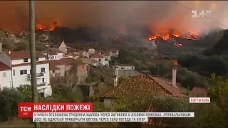 У Португалії оголосили жалобу за десятками загиблих у лісових пожежах