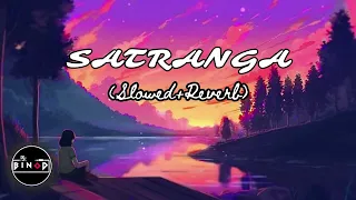 Satranga (Slowed + Reverb) | Arijit Singh | Animal | DJ BINOD